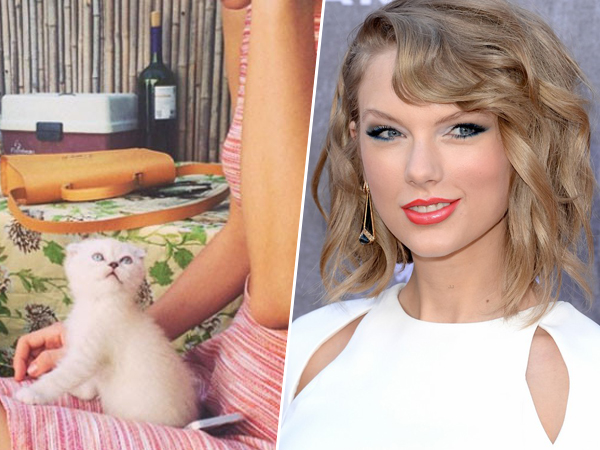 Kenalan dengan Kucing Mungil Milik Taylor Swift, Olivia Benson!